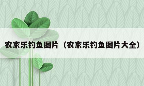 农家乐钓鱼图片（农家乐钓鱼图片大全）