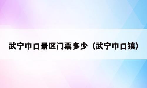 武宁巾口景区门票多少（武宁巾口镇）