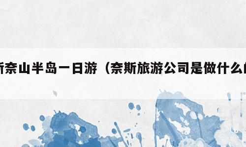 斯奈山半岛一日游（奈斯旅游公司是做什么的）