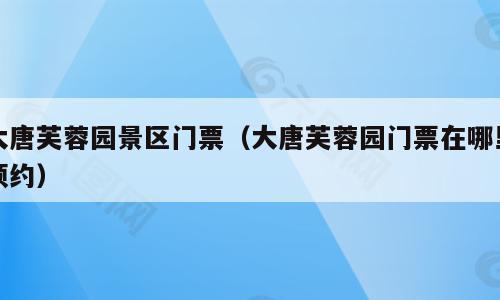 大唐芙蓉园景区门票（大唐芙蓉园门票在哪里预约）