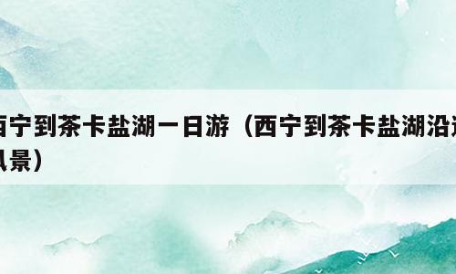 西宁到茶卡盐湖一日游（西宁到茶卡盐湖沿途风景）