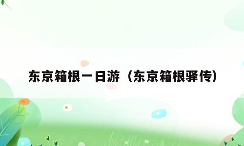 东京箱根一日游（东京箱根驿传）