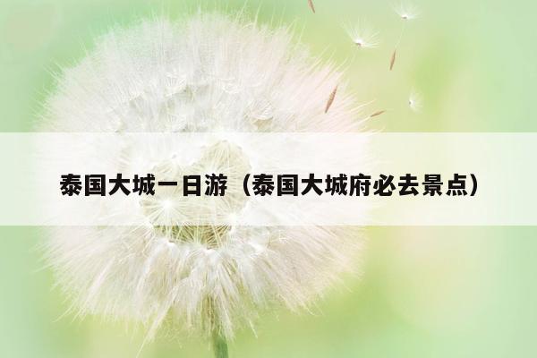 泰国大城一日游（泰国大城府必去景点）