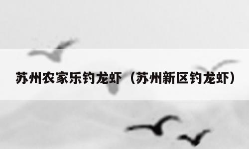 苏州农家乐钓龙虾（苏州新区钓龙虾）