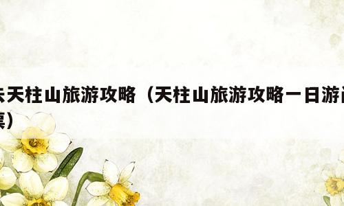 去天柱山旅游攻略（天柱山旅游攻略一日游门票）