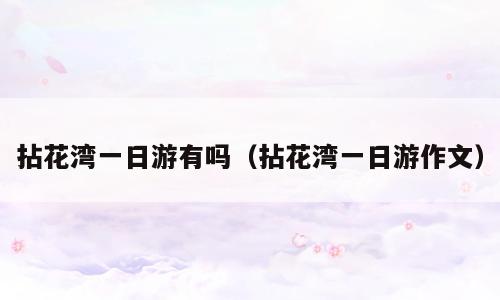 拈花湾一日游有吗（拈花湾一日游作文）