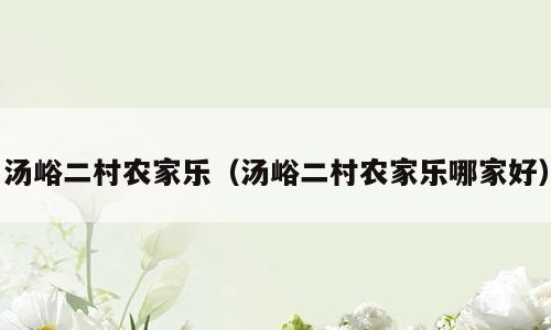 汤峪二村农家乐（汤峪二村农家乐哪家好）