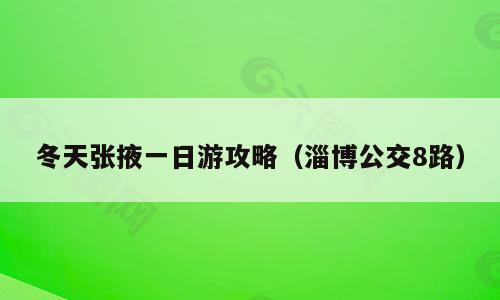冬天张掖一日游攻略（淄博公交8路）