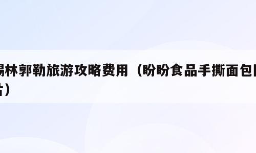 锡林郭勒旅游攻略费用（盼盼食品手撕面包图片）