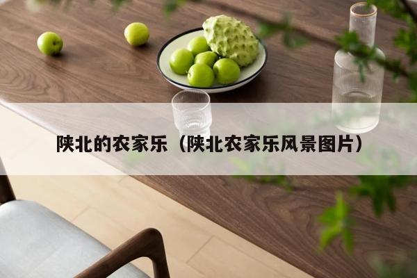 陕北的农家乐（陕北农家乐风景图片）