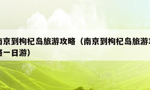 南京到枸杞岛旅游攻略（南京到枸杞岛旅游攻略一日游）