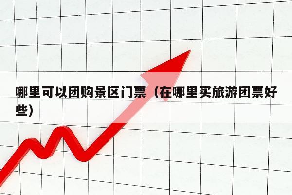 哪里可以团购景区门票（在哪里买旅游团票好些）