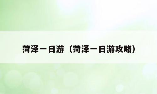 菏泽一日游（菏泽一日游攻略）