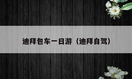 迪拜包车一日游（迪拜自驾）