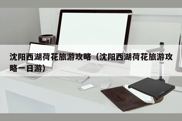 沈阳西湖荷花旅游攻略（沈阳西湖荷花旅游攻略一日游）