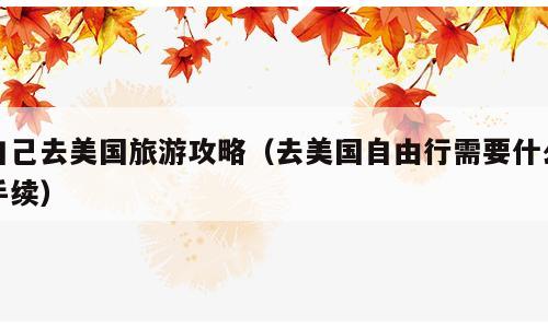 自己去美国旅游攻略（去美国自由行需要什么手续）