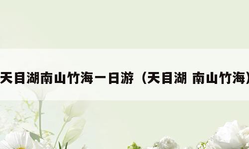 天目湖南山竹海一日游（天目湖 南山竹海）